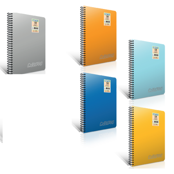 Gıpta Spiralli Defter Chromo Plastik Kapak Çizgili 200 Yp A4 1345