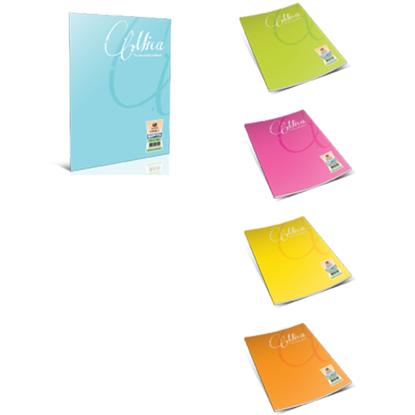 Gıpta Defter (Dikişli ) Mica Plastik Kapak Çizgisiz 60 Yp A4 1706 - 12'li Paket