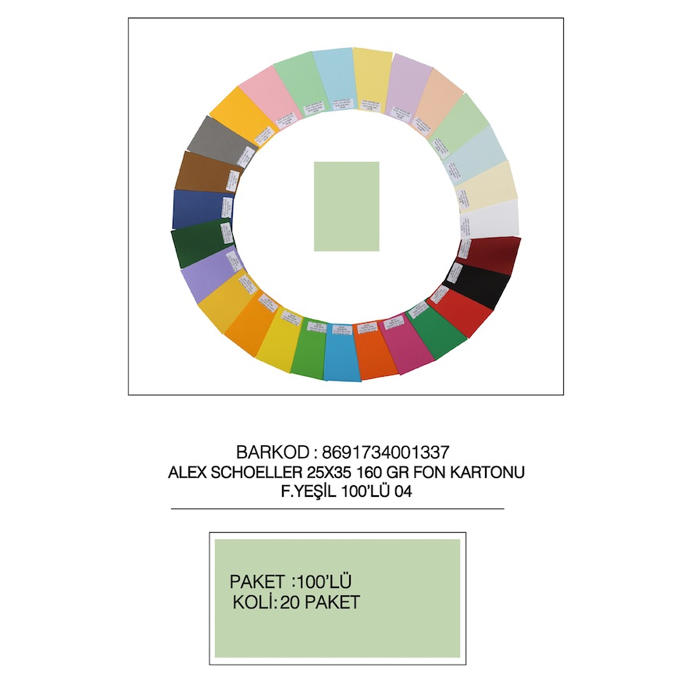 ALEX SCHOELLER FON KARTONU 25X35 NO:04 F.YEŞİLİ 100 LÜ