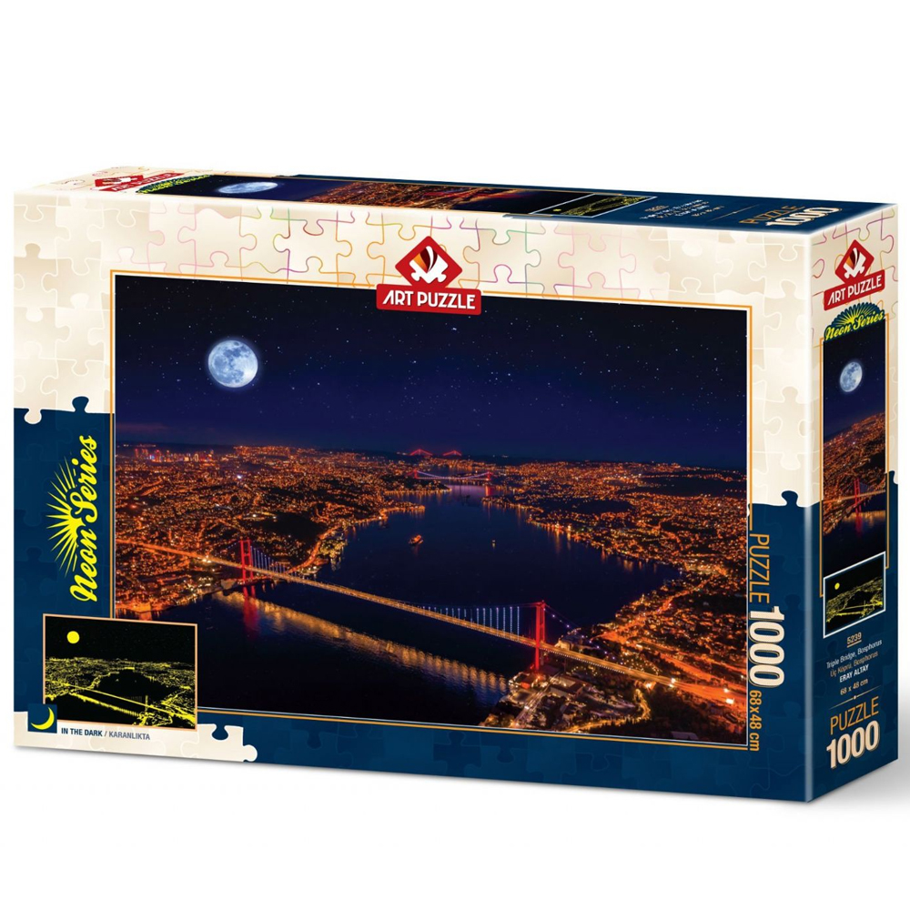 Art Puzzle 1000 Parça Üç Köprü Neon 5239