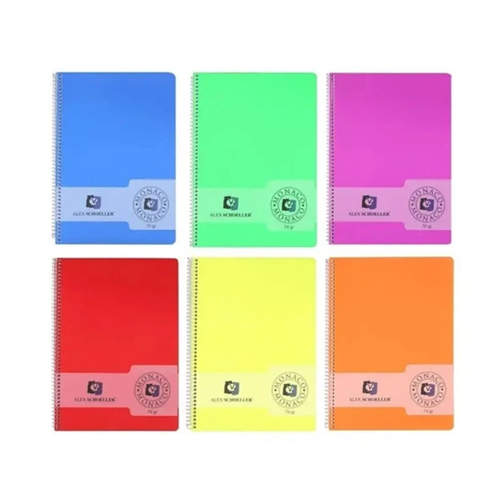 ALEX SCHOELLER SPİRALLİ PLASTİK KAPAK DEFTER KARELİ A5 80 YP ALX-182