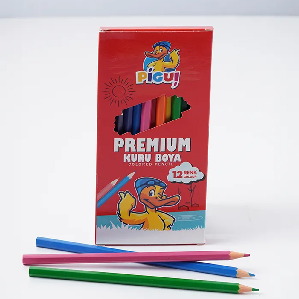 Pigui Kuru Boya Kalemi 12 Renk PGKB-21 - 12'li Paket