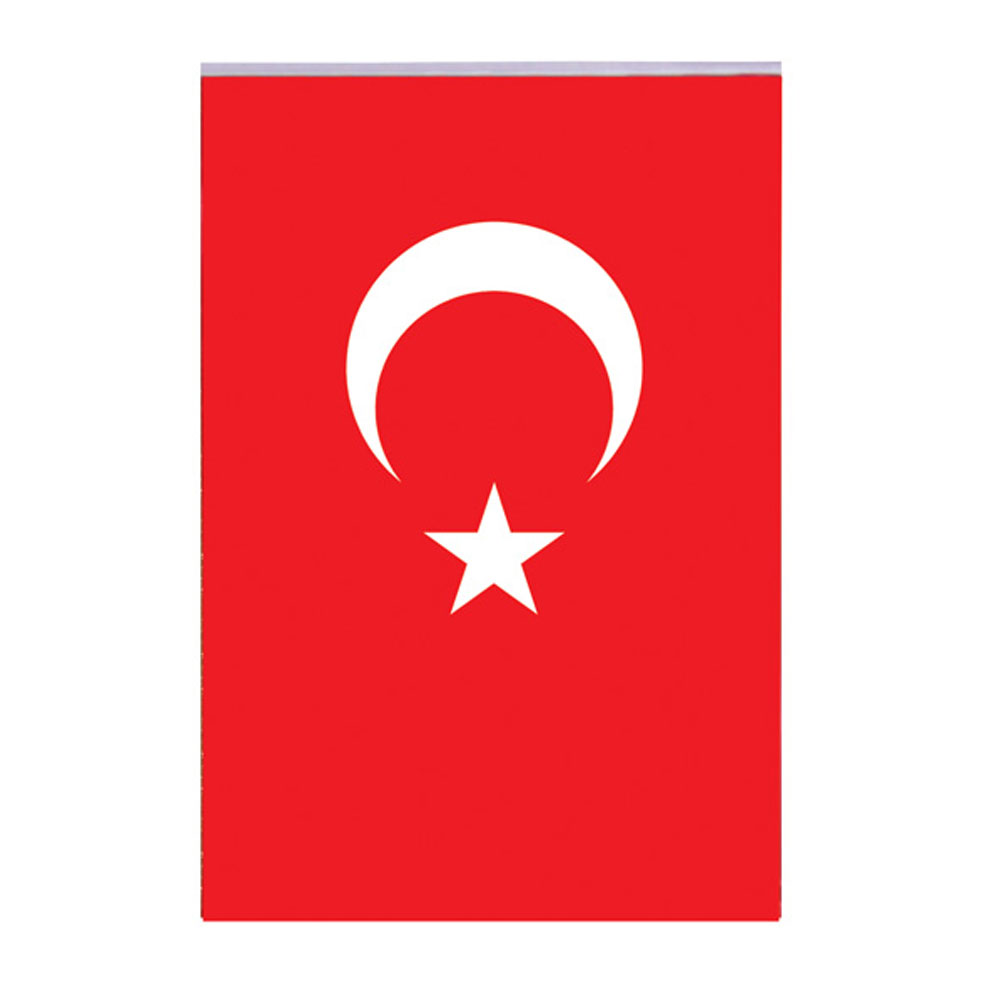 VATAN TÜRK BAYRAĞI POLYESTER 040X060 KT VT0103