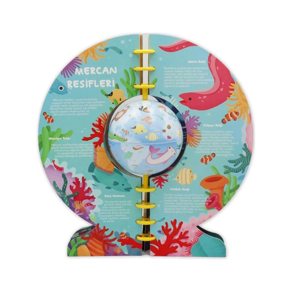 GÜRBÜZ KÜRE KİTAP SUDA YAŞAM 11 CM 12013