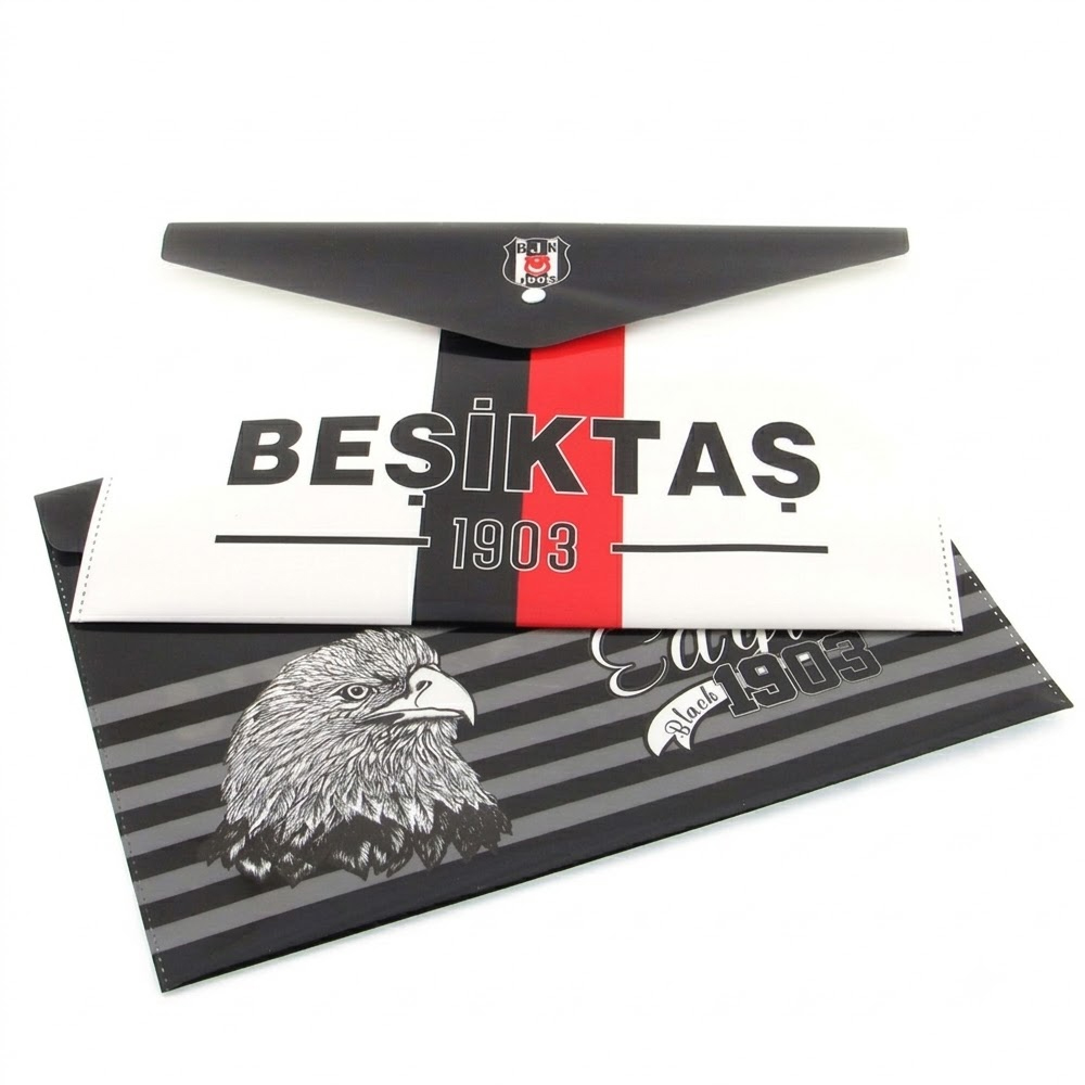 BEŞİKTAŞ ÇITÇITLI DOSYA DOS-1903 729279